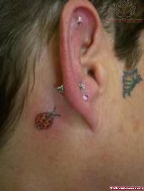 Ladybug Tattoo Behind Ear