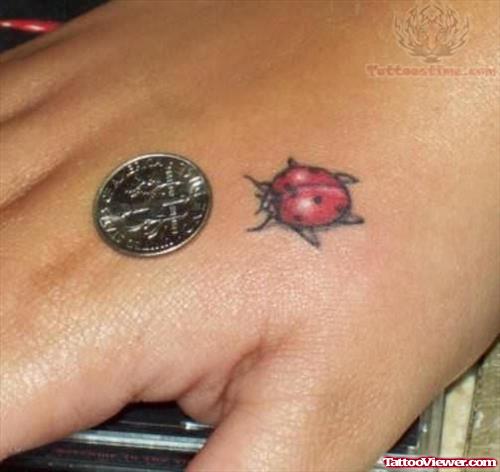 Ladybug Small Tattoo On Hand