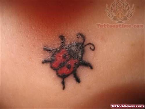 Ladybug Tattoo For Body Art