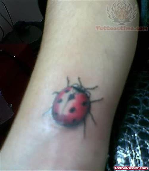 Ladybug Tattoo Art