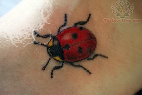 Beautiful Ladybug Tattoo