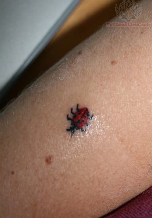 Ladybug Amazing Tattoo