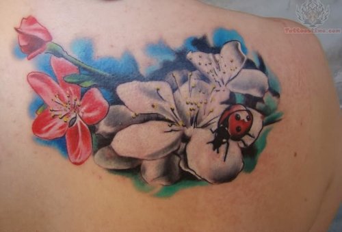 Flowera And Ladybug Tattoo On Back