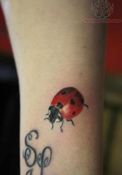 Ladybug Awesome Tattoo