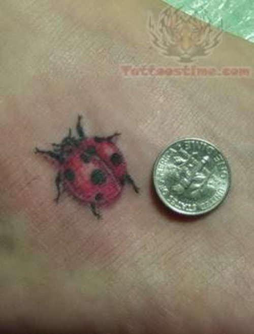Ladybug Cute Tattoo