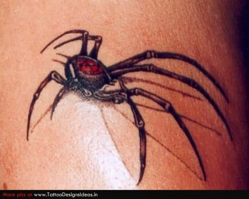 Black And Red Latrodectus Tattoo