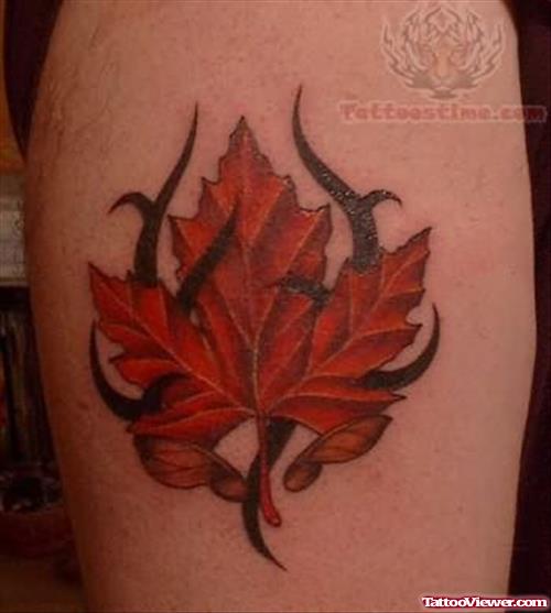 Maple Leaf In Thorns Tattoo