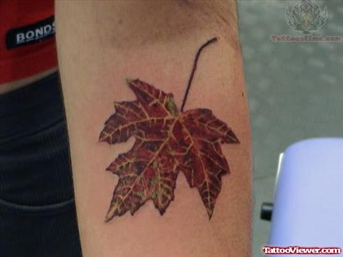 Beautiful Leaf Tattoo On Arm
