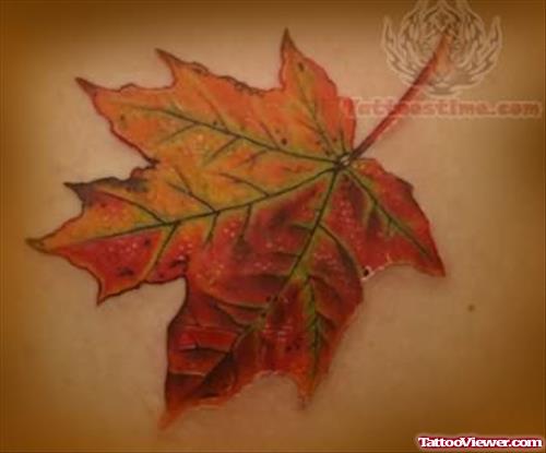 Stylish Maple Leaf Tattoo