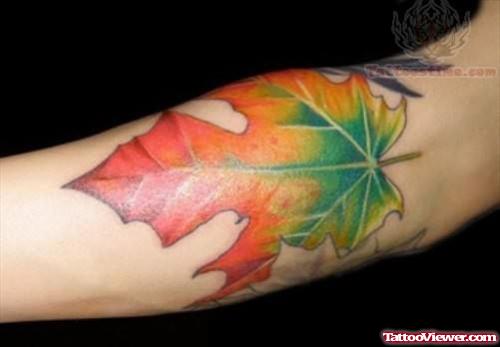 Brilliant Leaf Tattoo