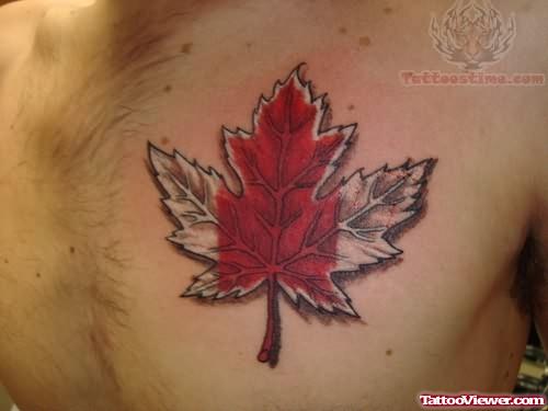 Amazing Leaf Tattoo
