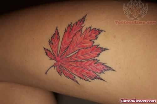 Nice Maple Leaf Tattoo
