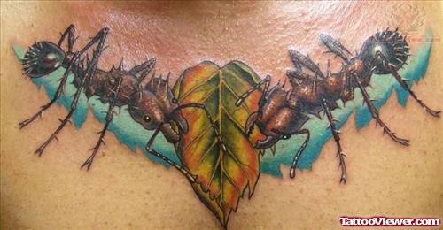 Leaf And Ant Tattoo On Chest