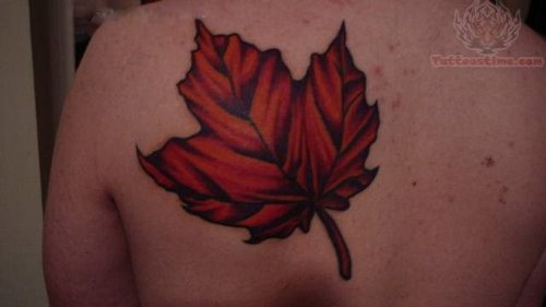 Dark ink Maple Leaf Tattoo