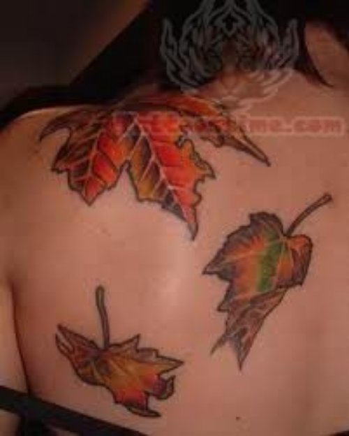 Back Shoulder Leaf Tattoos