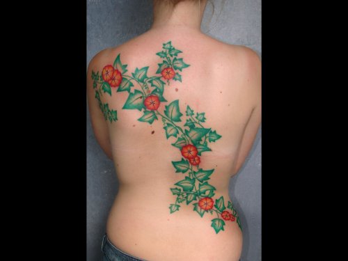 Red Flowers And Leaf Tattoo on Back