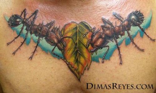 Ants and Leaf Tattoo On Chest
