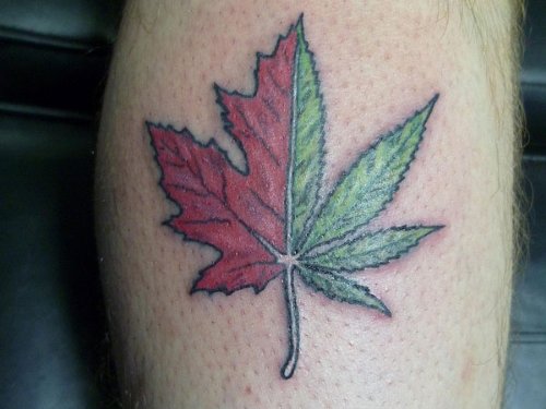 Red And Green Pot Leaf Tattoo