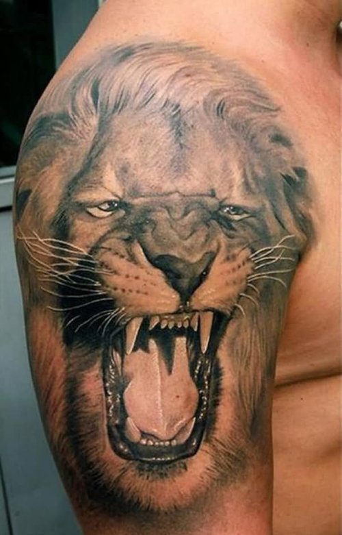 Roaring Lion Tattoo On Shoulder For Men