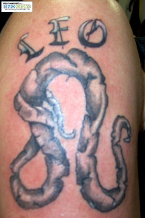 Grey Leo Tattoo On Sleeve