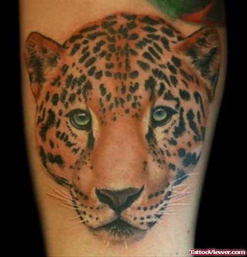 Leopard Face Tattoo