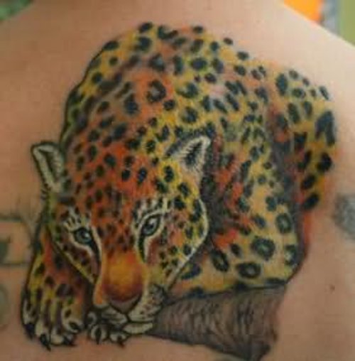 Leopard Sitting Back Tattoo