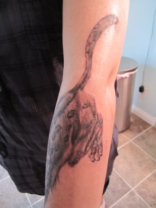Leopard Tattoo On Arm