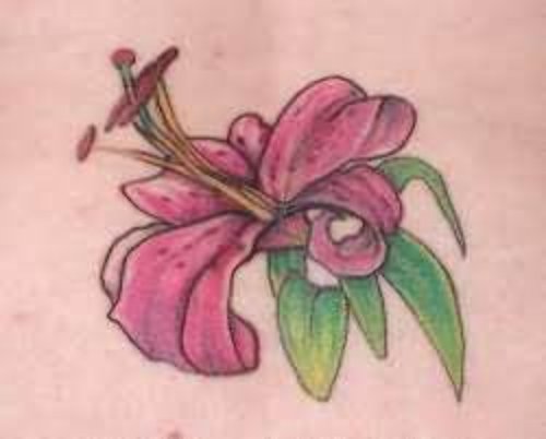 Best Lily Flower Tattoo Image