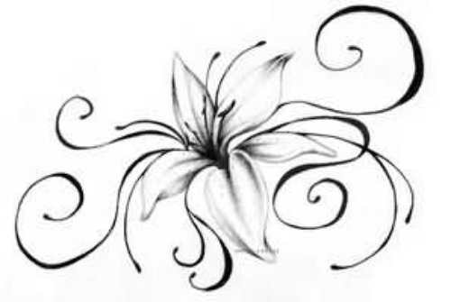 Grey Ink Lily Tattoos Design