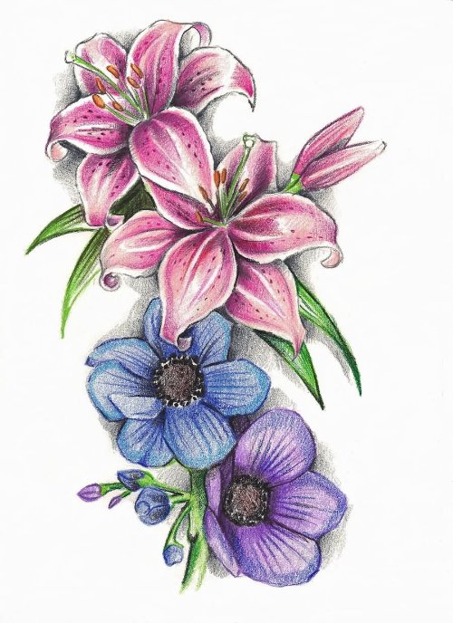 Lily Flower Tattoos Designs