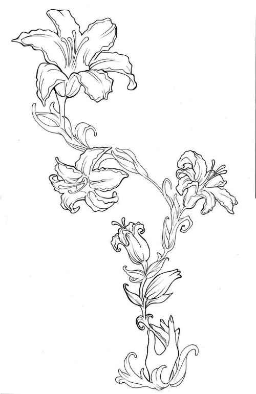 Beautiful Outline Lily Flowers Tattoo Design