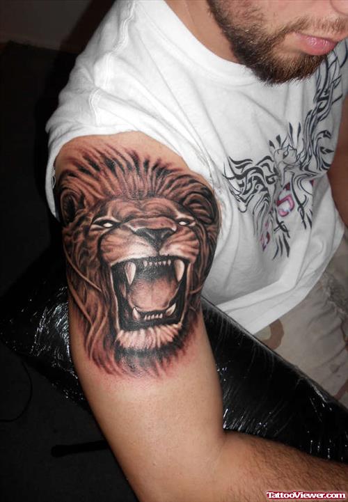 Right Shoulder Angry Lion Tattoo
