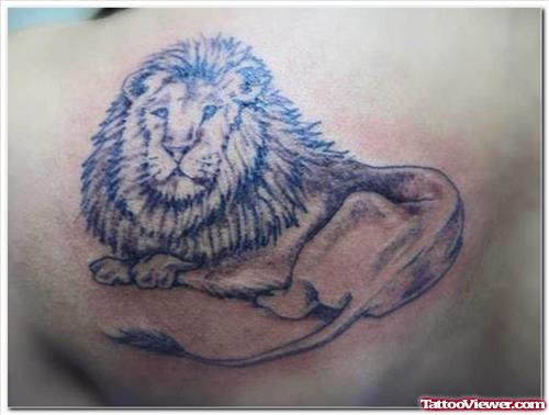 Awesome Grey Ink Lion Tattoo On Back Shoulder