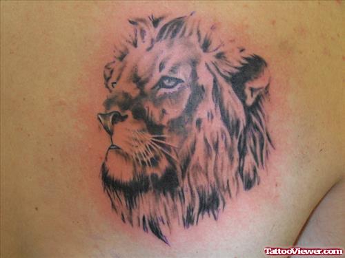New Grey Ink Lion Head Tattoo On Right Back Shoulder