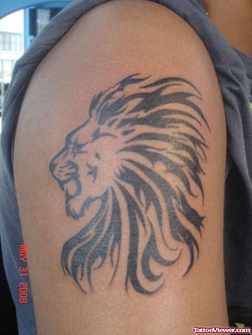 Tribal Lion Head Tattoo On Right Shoulder