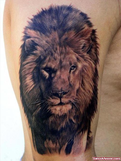 Lion Tattoo On Bicep