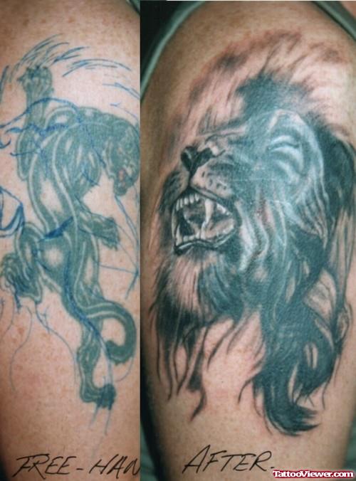 Awesome Color Lion Head Tattoo On Shoulder