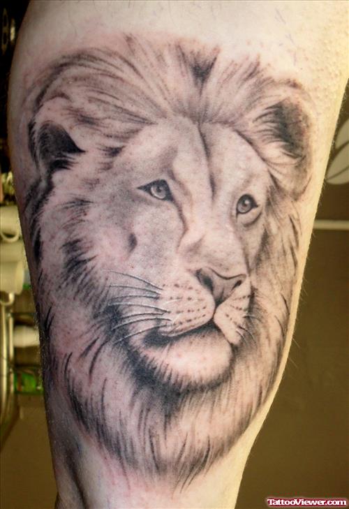 Attractive Grey Ink Lion Head Tattoo