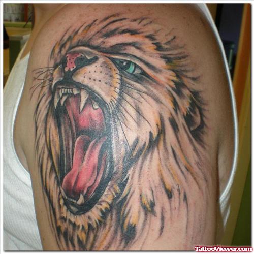 Attractive Roaring Lion Head Tattoo On Shoulder