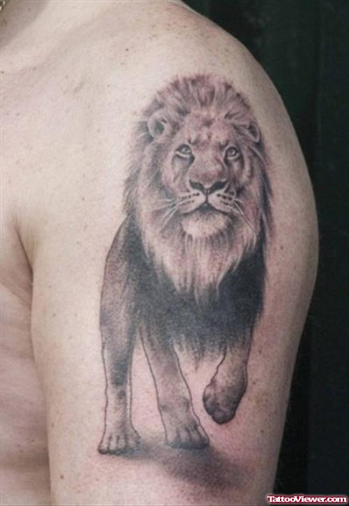 Best Grey Ink Lion Tattoo On Half Sleeve