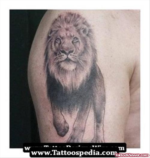Grey Ink Lion Tattoo On Right Half Sleeve