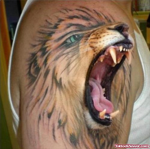 3D Roaring Lion Head Tattoo On Right Shoulder