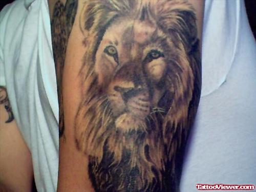 Lefdt Bicep Lion Head Tattoo