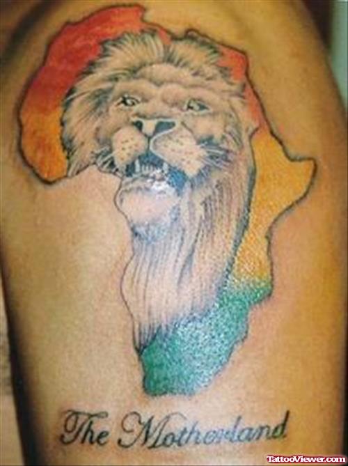 Colored African Map And Lion Head Tattoo On Shoulder