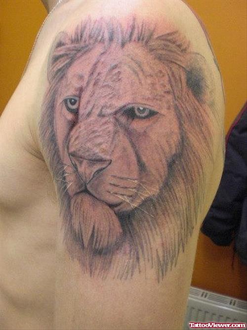 Grey Ink Lion Head Tattoo On Left Shoulder