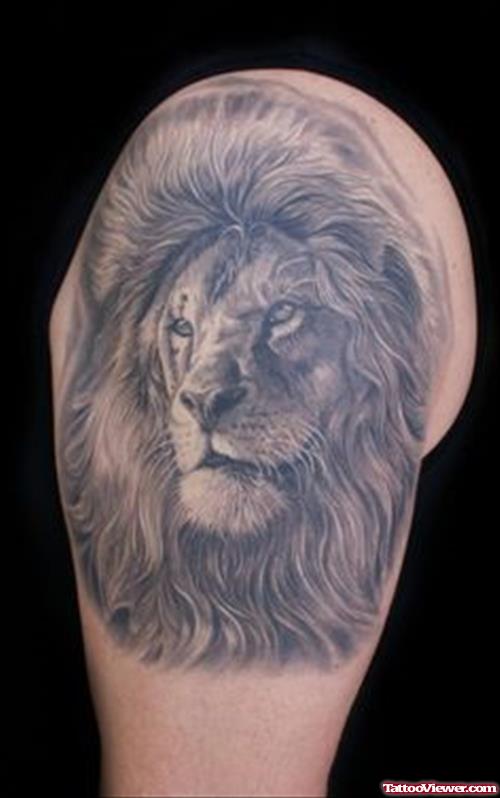 Grey Ink Right Half Sleeve Lion Tattoo