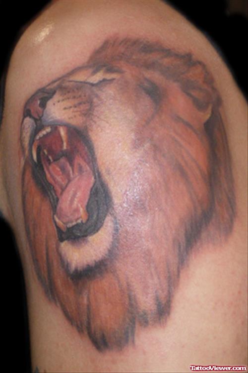 Beautiful Roaring Lion Head Tattoo On Left Shoulder