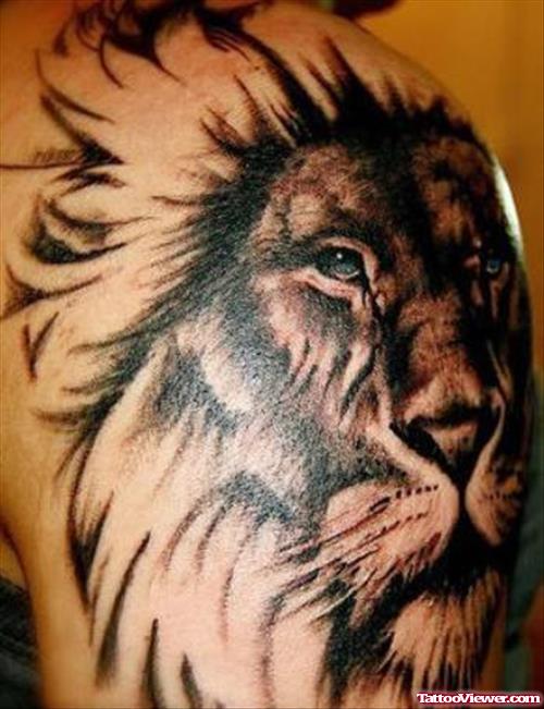 Nice Grey Ink Lion Tattoo