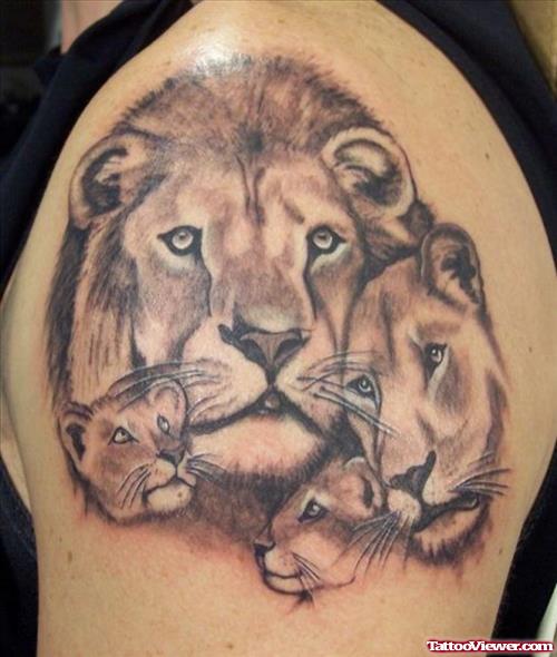 Lion and Cubs Heads Tattoos On Shoulder