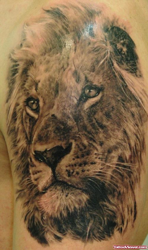 Beautiful Left SHoulder Lion Tattoo